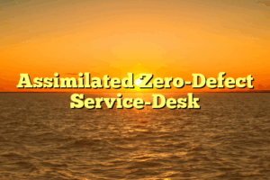 Assimilated Zero-Defect Service-Desk