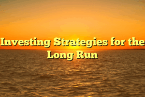 Investing Strategies for the Long Run